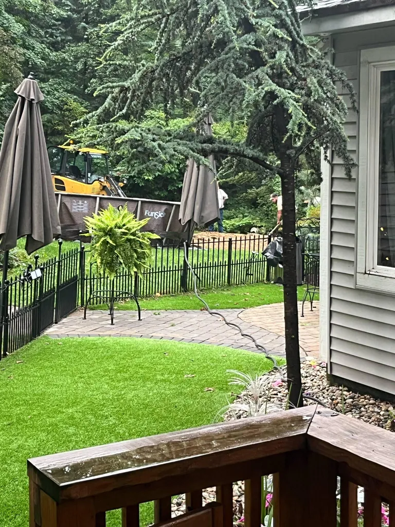 Where every litter begins