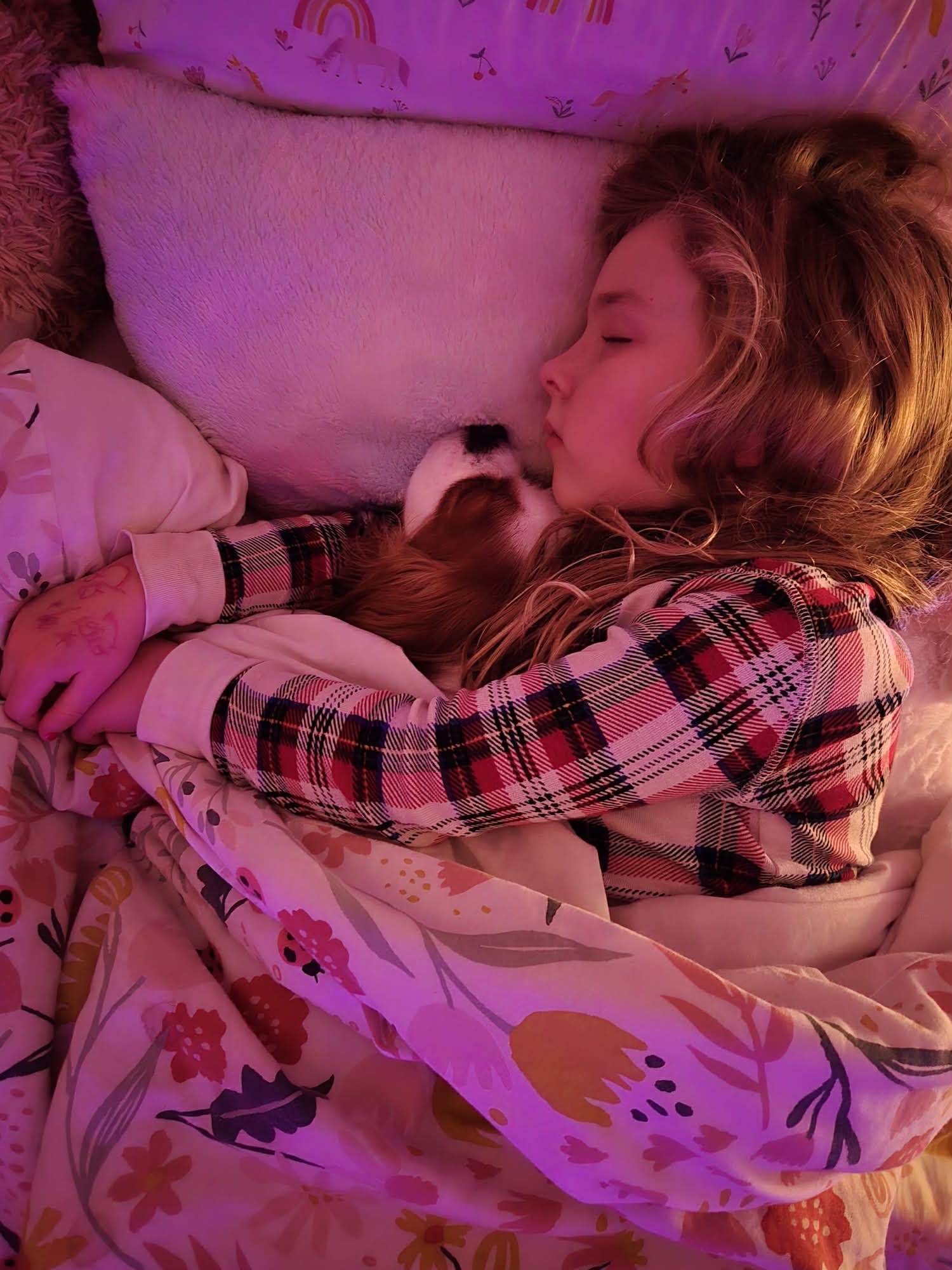 A West Michigan Cavalier and their family