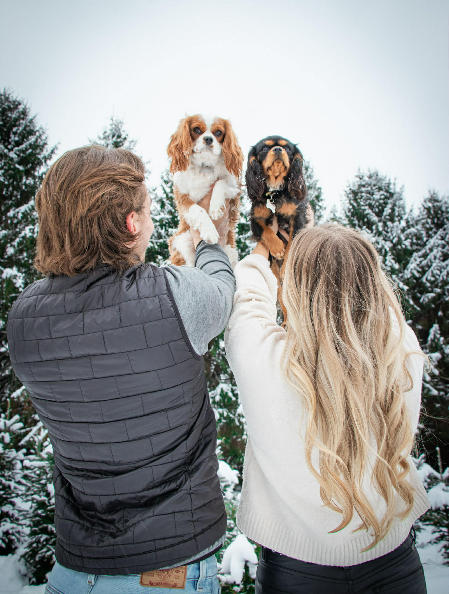 A West Michigan Cavalier and their family
